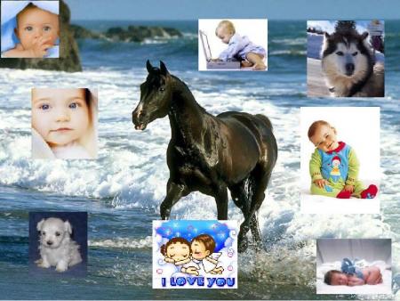 le montage pour bugs buny
