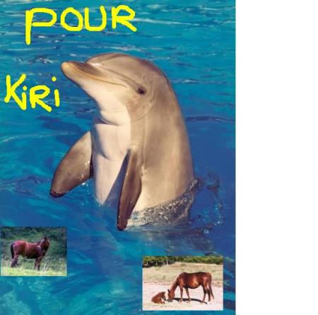 le montage pour kiri